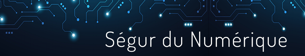 Ségur du numérique