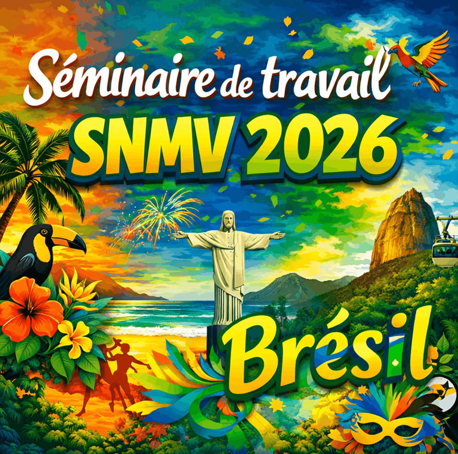 Séminaire de travail au Brésil
